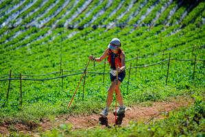 BIB: 
                            <button type="button" onclick="openModal(19164746)" class="btn btn-primary btn-sm float-right btn-popup" data-toggle="modal" data-target=".modal-high-quality">
                        <i class="fas fa-shopping-cart"></i> Add to Cart
                    </button>
                                            <button type="button" onclick="isThisMe(19164746, true)" class="btn btn-success btn-sm float-right btn-popup btn-isme hidden" data-toggle="tooltip" data-placement="bottom" title="นี่คือรูปของคุณใช่ไหม คลิกที่นี่เพื่อเอาเข้าอัลบั้ม">
                        <i class="fas fa-plus"></i> Add to album
                    </button>
                    <button type="button" onclick="isThisMe(19164746, false)" class="btn btn-warning btn-sm float-right btn-popup btn-isnotme hidden">
                        <i class="fas fa-ban"></i> Remove from album
                    </button>